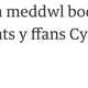 Image for article titled Teach yourself some Welsh by reading this account of the Wales vs. Portugal soccer match